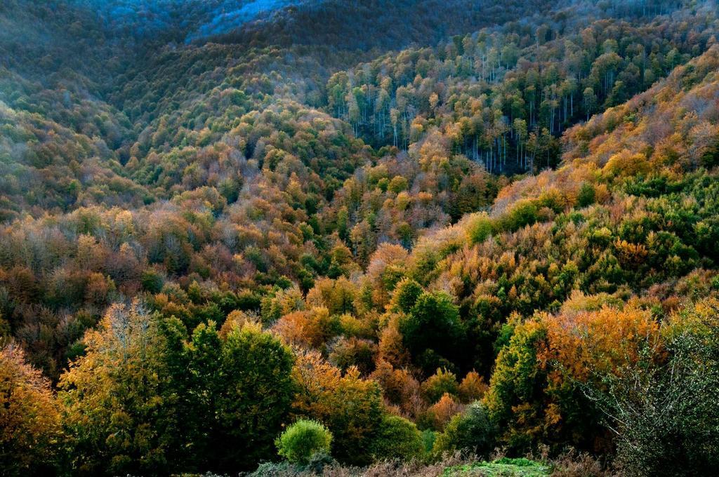 Casa Rural Lenco Zilbeti Екстер'єр фото